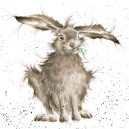 1 x HASEN Klappkarten Umschlag Wrendale Designs Grußkarten BORN FREE bunny Tiere 