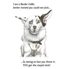 Border collie greeting card