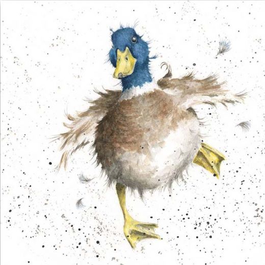 A Waddle and a Quack' Duck Socks - Wrendale Designs A Waddle and a Quack' Duck Socks - Wrendale Designs